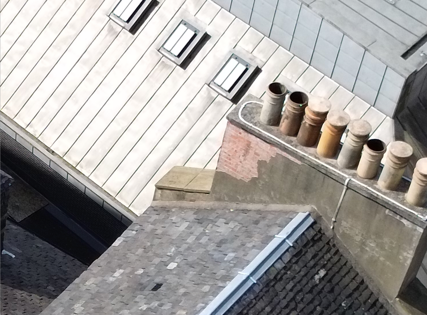 Insurance & Post-Event Survey