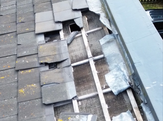 Basic Visual Survey Package