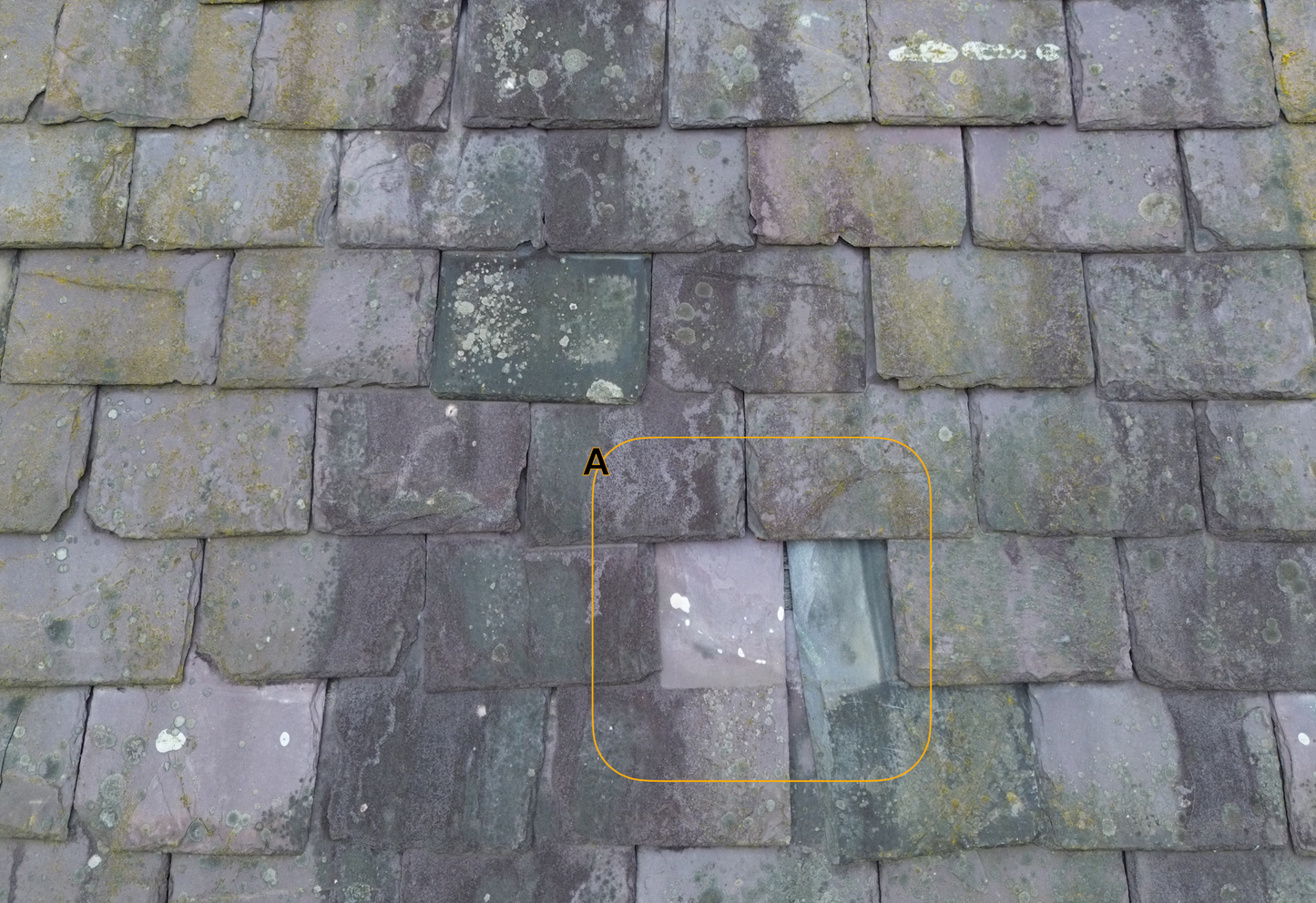 Basic Visual Survey Package